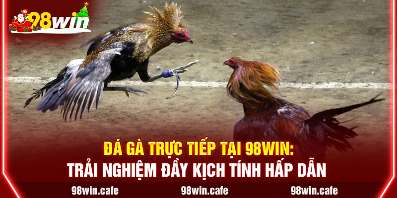 Đá Gà Trực Tiếp Tại 98Win: Trải Nghiệm Đầy Kịch Tính Hấp Dẫn